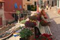 Borgo del Cotone