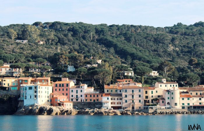 Borgo del Cotone